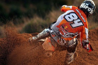 Herlings, Pourc