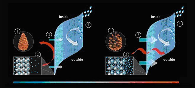 Richa s úpravou NanoSphere a membránou C-Change