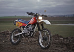 rider199