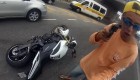 Zastřelen při krádeži motocyklu