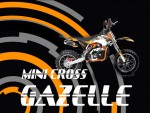 recenze Minicross Gazelle Sport Edition