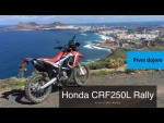 Honda CRF250L Rally v terénu