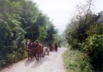 Cesta do Rumuns
