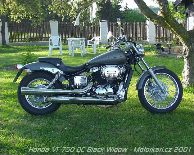 Honda VT 750 DC Black Widow