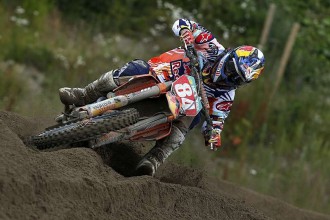 Herlings si zlo