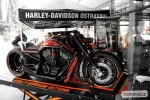 Open Harley Day