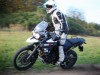 Triumph Tiger 8