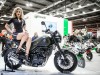 Eicma Benelli: 