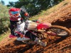 Honda CRF450R: 