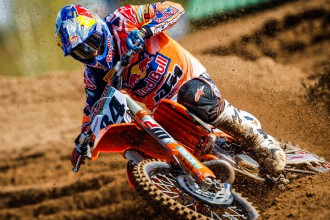 Herlings a Olse