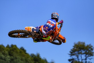 Herlings a Jona