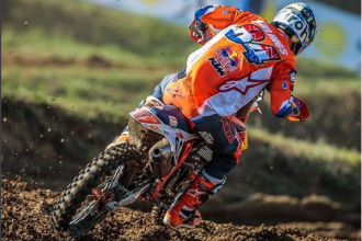 Herlings a Prad