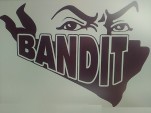 Bandit1200N