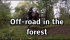 Off-road v lese
