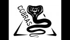 Cobras - Offroad training
