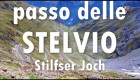 Passo Stelvio by motorcycle