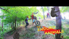 Enduro Animals :) FUN