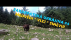 Zakarpatská Ukrajina #4 * Národní park Siněvir * Medvědi a vlci * Za východem slunce