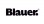 Logo Blauer